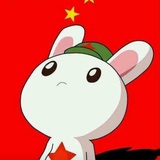 安妮