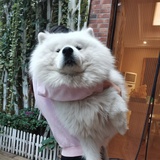 学波