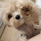 莞尔