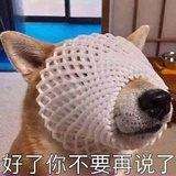 into1解散了吗
