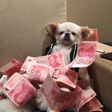 春风渡春山