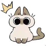 哈尼哈尼