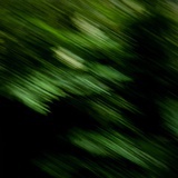 点.了个.点
