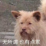 哒哒哒哒哒哒