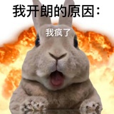 莎莎别惹京神饼