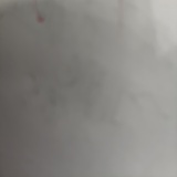 小燕子（已登机