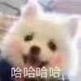 周迪登基