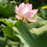 节约用水