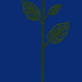 桃叶渡