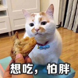 豆友228854538