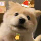 你的狗子