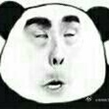 一树梧桐