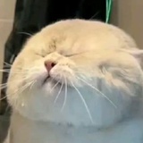 TedsUu
