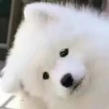 景绗