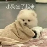 今天晚上吃什么