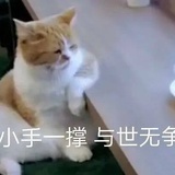 法外狂徒谢时煜