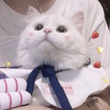 纽约租房Avery