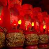 诗歌爱好者