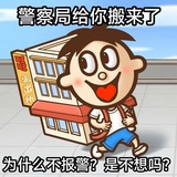 喝水的猫咪