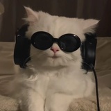 🤓牙牙乐