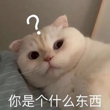 喵喵收藏家