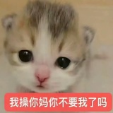 干湿分离人