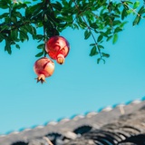 明天又是新一天