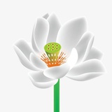 杠上开🌸