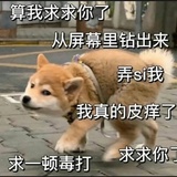 太甜了