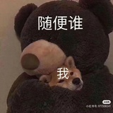 一锅锦鲤炖年糕