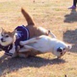 干脆接着睡吧