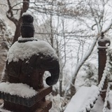 伴山笔记