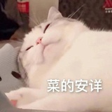 ccvv