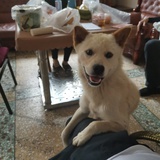 反诈先锋