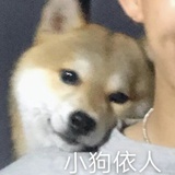 Jellyjk