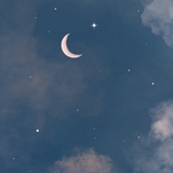 欧扬