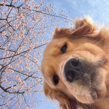静静看