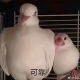 煮豆燃豆萁