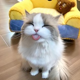 mypreciooooous