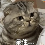 每天都学习