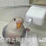 秀米