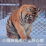 匿名
