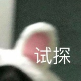 布丁格子