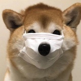 最牛逼的江湖骗子