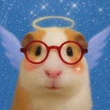 克莱门世小柑橘