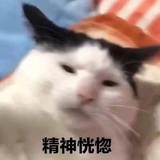 肥猫不嘟