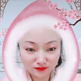 愛看窗外的大貓