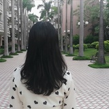 桦之旅