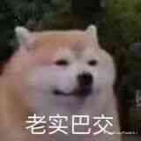 鱼鱼鱼🎏