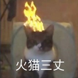 辣椒酱
